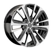 LS FG19