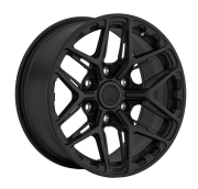 LS FG53