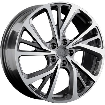LS Forged LS FG22 19x7 5x120 ET45 DIA64.1
