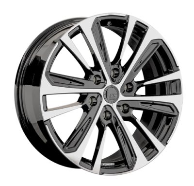 LS FG19