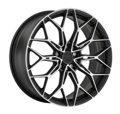 LS FG56