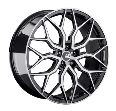 LS FG13
