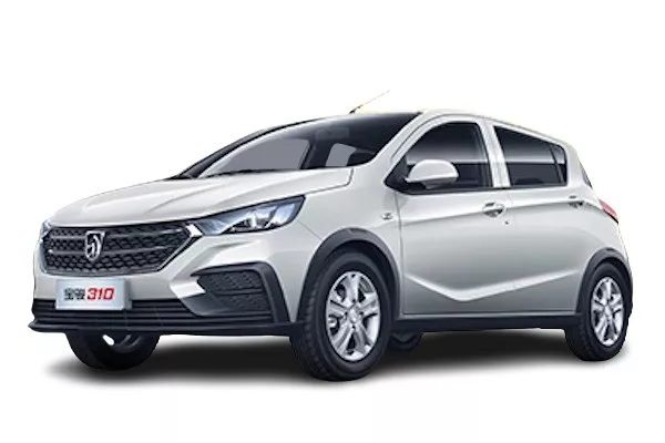 Baojun 310