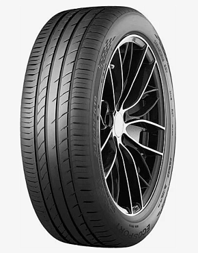 Rapid Ecosport 235/55R19 105W