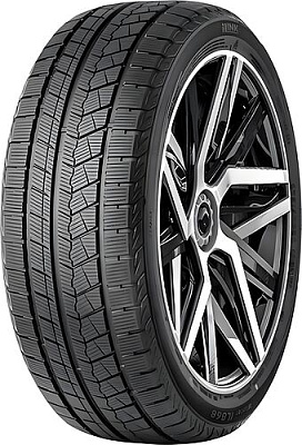 IL868 Winter