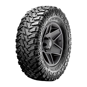 Evolution M/T