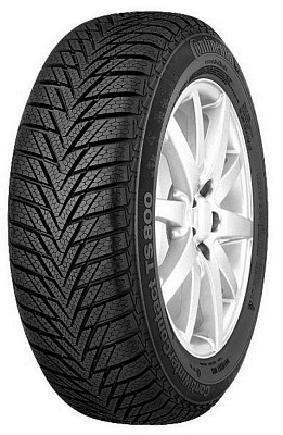 ContiWinterContact TS 800