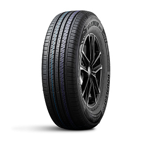 DoubleStar DH09 205/65R16 95H