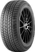 DoubleStar DW09 275/40R20 106V