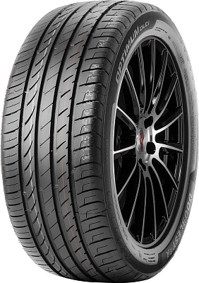 DoubleStar DU01 205/45R17 88W