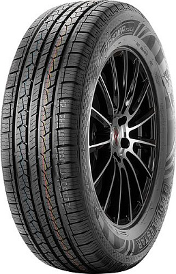 DoubleStar DS01 265/65R17 112T