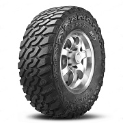 LION SPORT M/T