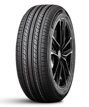 DoubleStar DH05 205/55R16 91V
