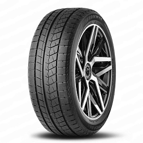 IcePower 868