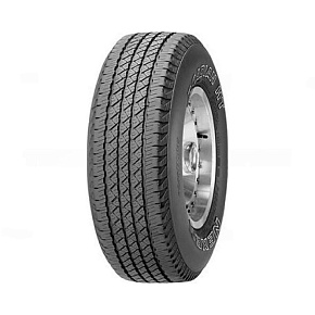 ROADIAN HT