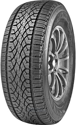 CLV1