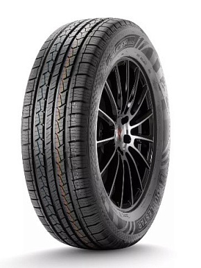 DoubleStar Landrider DS01 255/55R20 110V