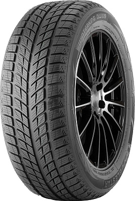 DoubleStar DW09 275/45R20 110H