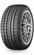 Eurowinter Hs439
