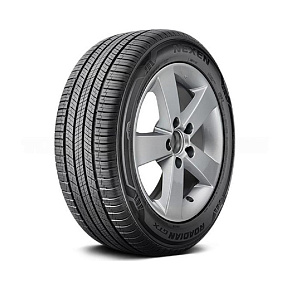 Nexen ROADIAN GTX 215/70R16 100H