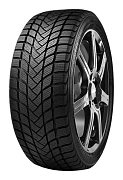 Delinte Winter WD6 155/80R13 79T