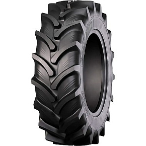 RAG100 (AGRO10)