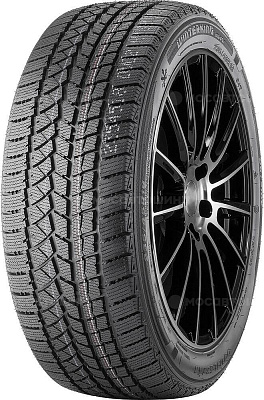 DoubleStar DW02 225/55R16 95T