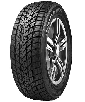 Delinte WD1 255/45R19 100H